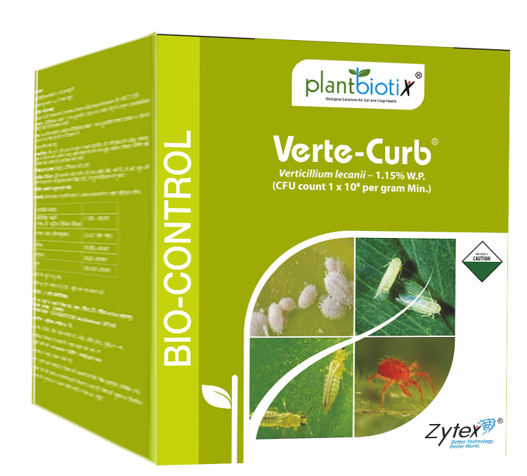 Verte Curb 500g