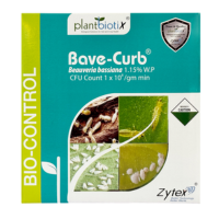 bavecurb new parity for metaslider