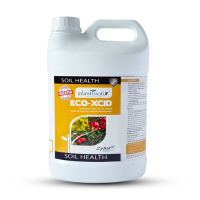 eco xcid parity for metaslider