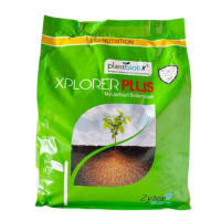 explorer plus parity for metaslider