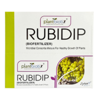 rubidium parity for metaslider