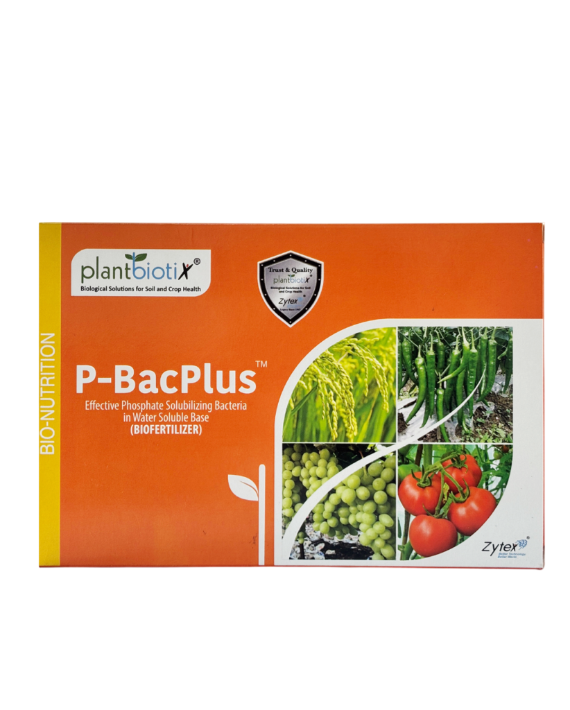 new pbacplus
